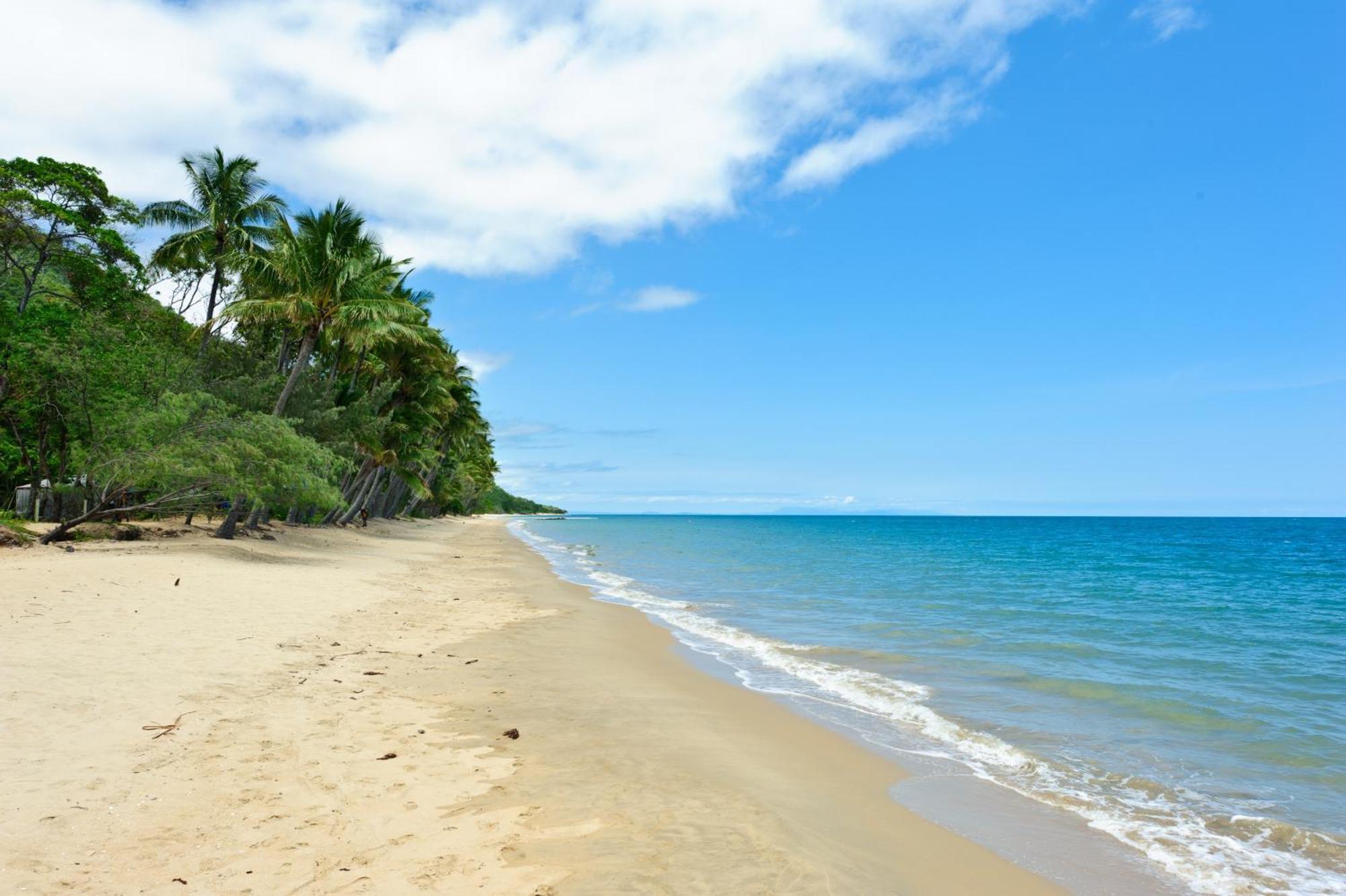 Ellis Beach Oceanfront Holiday Park Palm Cove Extérieur photo